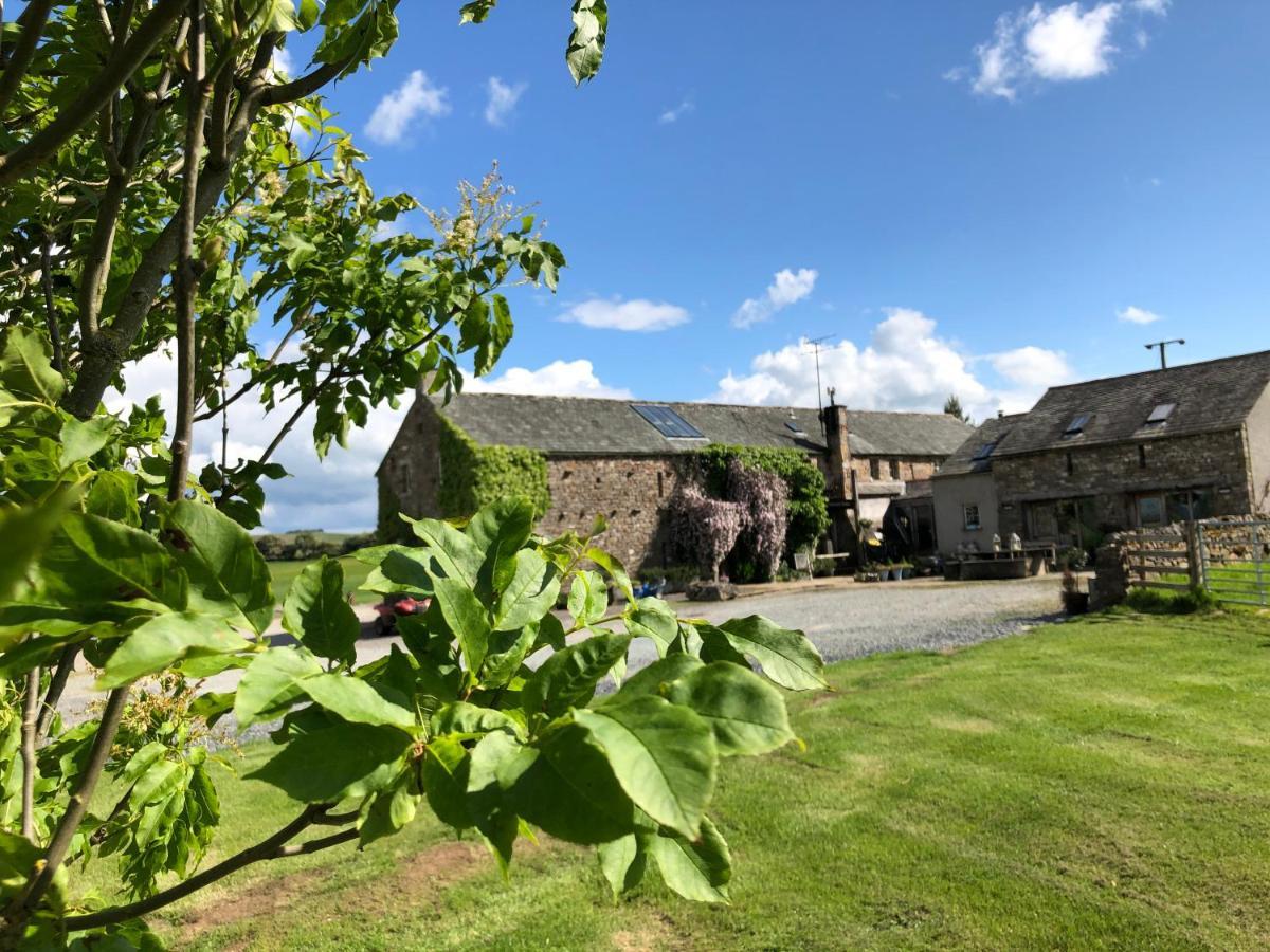 Bed and Breakfast Crake Trees Manor Crosby Ravensworth Экстерьер фото