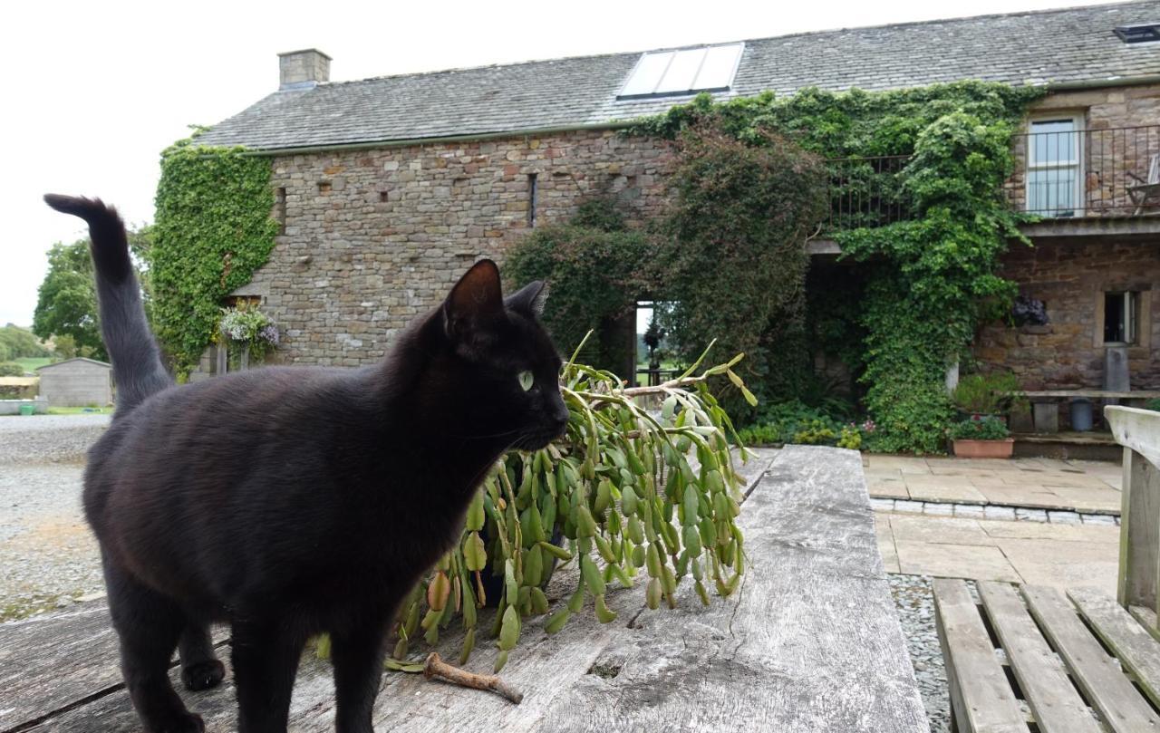 Bed and Breakfast Crake Trees Manor Crosby Ravensworth Экстерьер фото